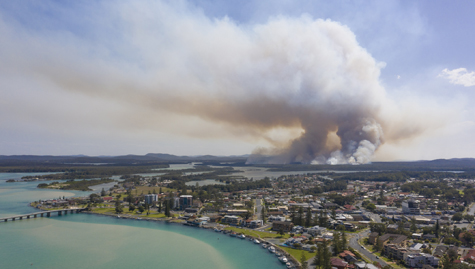 Accounting profession responds to bushfire crisis